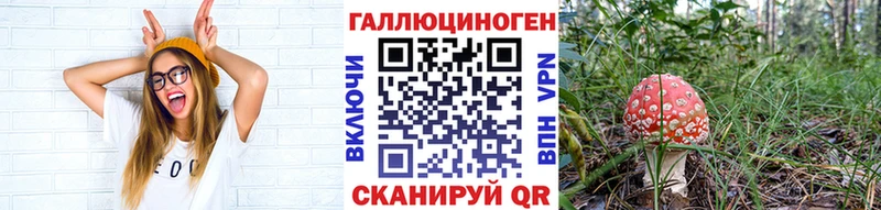 Псилоцибиновые грибы GOLDEN TEACHER  Чадан 